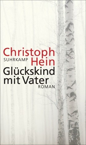 Book cover Portrait of a Son with Father