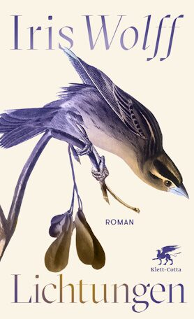 Book cover Glimmer of Light