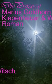 Buchcover Die Prozesse