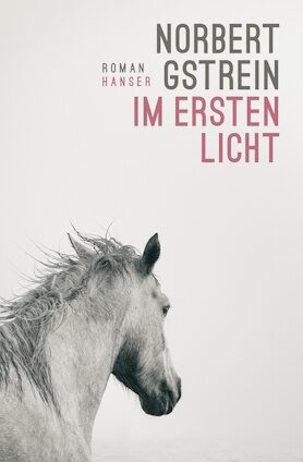 Book cover At First Light