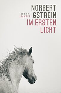 Book cover At First Light