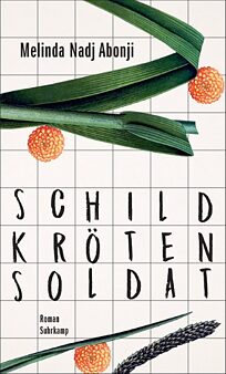 Buchcover Schildkrötensoldat