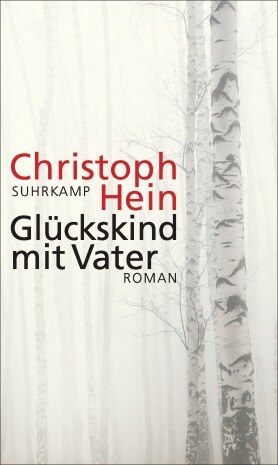 Buchcover Glückskind mit Vater