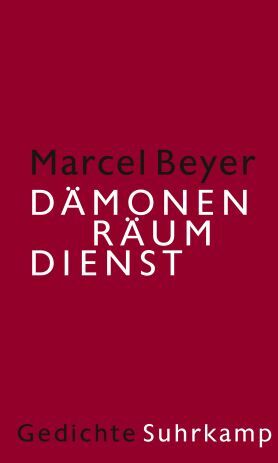 Buchcover Dämonenräumdienst