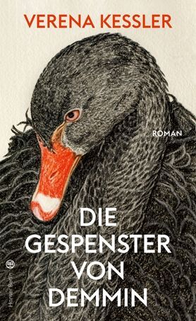 Buchcover Die Gespenster von Demmin