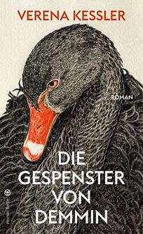 Buchcover Die Gespenster von Demmin