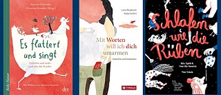 Schneider, Raubaum, Heinrich