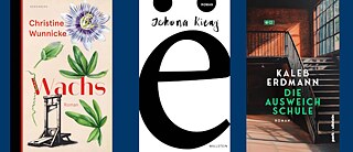 Wunnicke, Kicaj, Erdmann