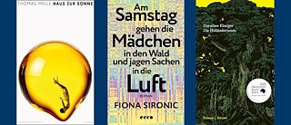 Melle, Sironic, Elmiger