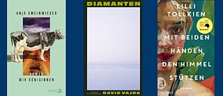 Anja Gmeinwieser, David Vajda, Lilli Tollkien