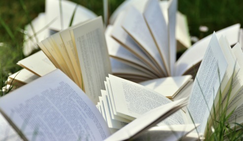 LITRIX AUF DER LEIPZIGER BUCHMESSE 2019 © Pixabay LITRIX AUF DER LEIPZIGER BUCHMESSE 2019